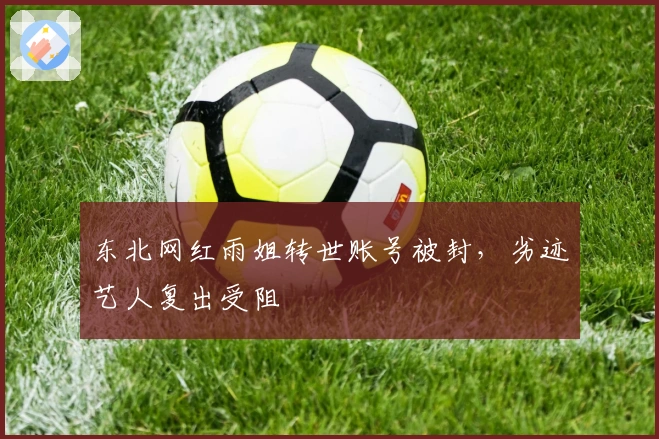 东北网红雨姐转世账号被封，劣迹艺人复出受阻