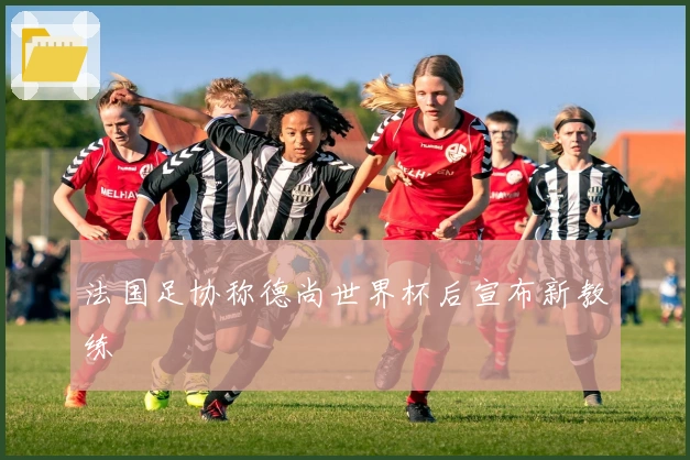 法国足协称德尚世界杯后宣布新教练