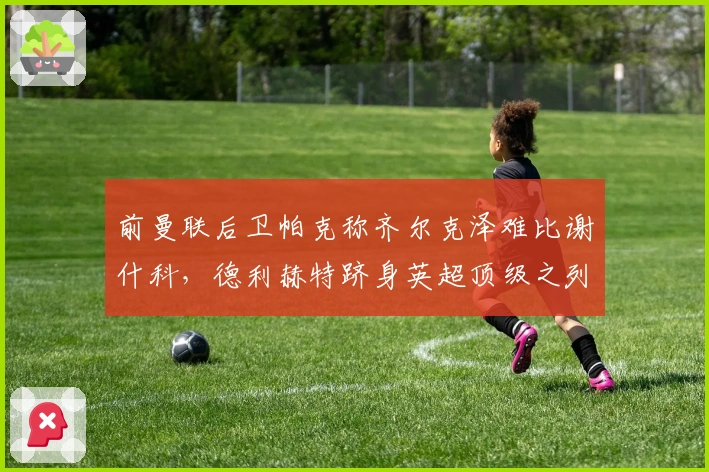 前曼联后卫帕克称齐尔克泽难比谢什科，德利赫特跻身英超顶级之列