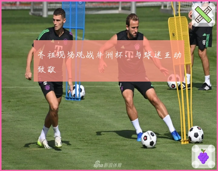 齐祖现场观战非洲杯，与球迷互动致敬